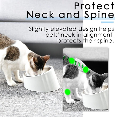 Super Design Mess Free Slanted Dog Bowl, 15° Tilted Non-Skid Feeder for Dogs and Cats, White, 0.5 Cup