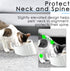 Super Design Mess Free Slanted Dog Bowl, 15° Tilted Non-Skid Feeder for Dogs and Cats, White, 0.5 Cup