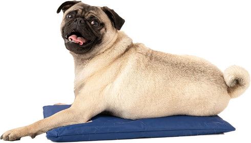 Dog Cooling Pad, Hydro Cooling Mat for Dogs (18"x10.5") (Mini)