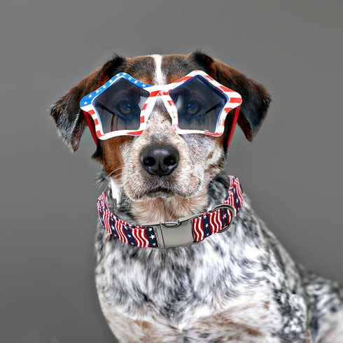 Lionheart Glory American Flag Dog Collar, Heavy Duty Adjustable Patriotic Collar for Medium Dogs