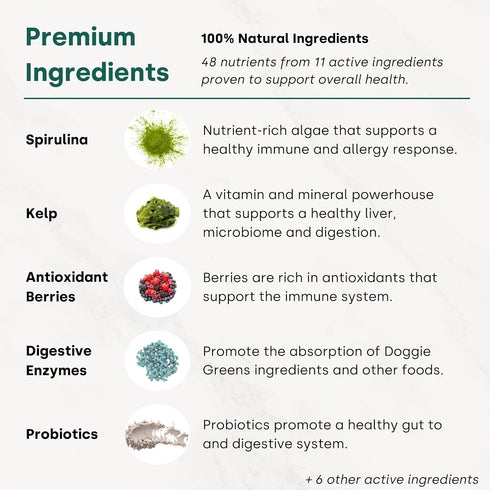 Doggie Greens, Natural Dog Vitamins & Probiotics, 6-in-1 Supplements & Vitamins Chews, Super Greens for Dogs