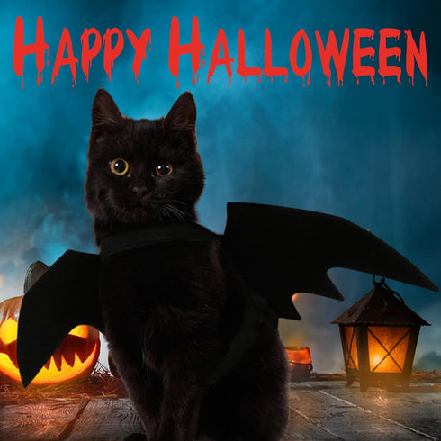 Pet Cat Bat Wings Halloween Costume, Bat Wings for Cats and Dogs, Puppy Kitten Cosplay Dress Up Accessories