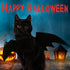Pet Cat Bat Wings Halloween Costume, Bat Wings for Cats and Dogs, Puppy Kitten Cosplay Dress Up Accessories