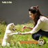 Fieldcrest Farms Nothin to Hide Flip Chips Chews for Dogs - All Natural Rawhide Alternative Treats (Peanut Butter, 8.5