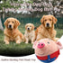 Active Moving Pet Plush Toy, Squeaky Moving Dog Ball Toy, Washable Cartoon Pig Electronic Dog Toy for Boredom Talking