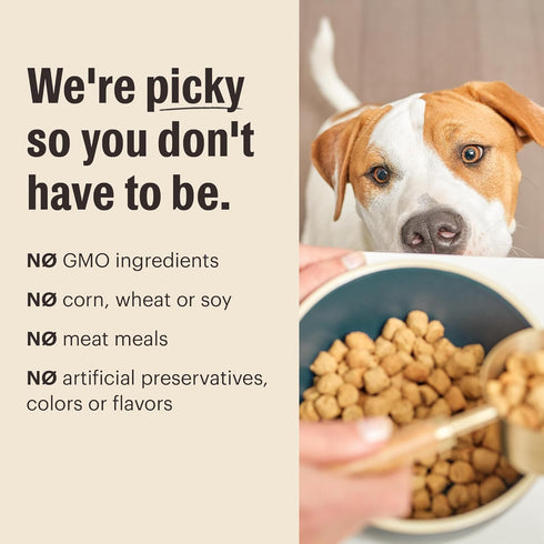 5 lb The Honest Kitchen Human Grade Whole Food Clusters Dry Dog Food - Grain Free Beef Bag