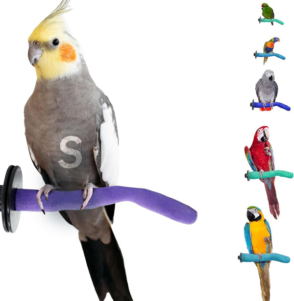 Safety Pumice Perch for Birds - Trims Nails & Beak, Promotes Healthy Feet - Non-Toxic Bird Supplies (Small 8")