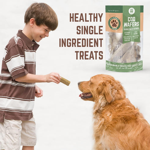 Cod Fish Wafer Dog Training Treats, Single Ingredient Omega-3 Rich Snack for Healthy Active Lifestyle