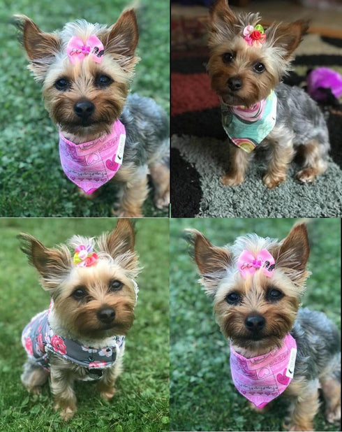 50pcs Dog Hair Accessories, Rhinestone Pearls Bowknots with Rubber Bands, Topknot Bows for Cute Styling