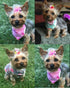 50pcs Dog Hair Accessories, Rhinestone Pearls Bowknots with Rubber Bands, Topknot Bows for Cute Styling
