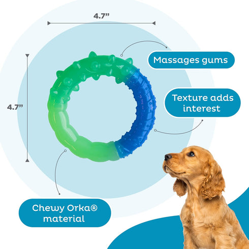 Orka Grow-with-Me-Ring Dog Chew Toy by Petstages