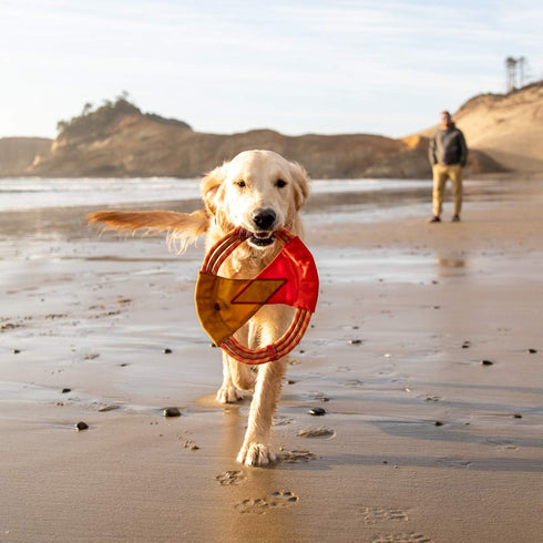 Ruffwear Pacific Ring Dog Toy, Interactive Fetch and Tug Toy, Sockeye Red for Playing and Training