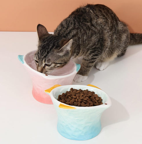 Raised Tilted Ceramic Cat Food Bowl, Cute Pink Fish Shape Elevated Dish for Kitty Feeding, Anti Vomiting