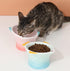 Raised Tilted Ceramic Cat Food Bowl, Cute Pink Fish Shape Elevated Dish for Kitty Feeding, Anti Vomiting