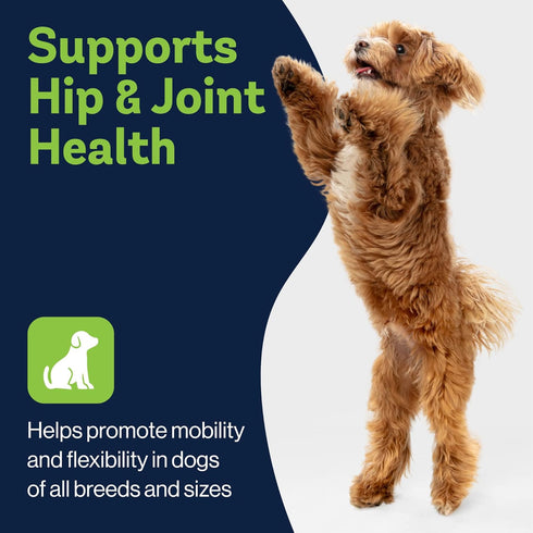 Level Up Pup LVL Up Pup Dog Joint Supplement for Senior Dogs Hip & Joint Supplement for Dogs with Glucosamine