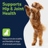 Level Up Pup LVL Up Pup Dog Joint Supplement for Senior Dogs Hip & Joint Supplement for Dogs with Glucosamine