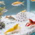 Penitue 2pcs Shrimp Hides for Aquarium, Multi-Hole Shrimp Dome Hide House with Suction Cup Coral Design Betta Fish Toys