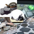 Natural Slate Stone Rocks Mix, 2 to 3 inches and 1 Piece About 8 inches for Aquariums and Terrariums (3 Pounds)