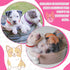 36Pcs Dog Collar and Leash Set, Adjustable Quick Release Buckle Soft Nylon Collar for Puppy Small Dogs Walking Training