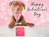 Valentine Dog Collar with Bow Tie, Cotton Collar for Large Dogs, Pink Plaid, Neck 16-24in