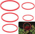 5pcs Round Aquarium Floating Plant Rings, Foam Fish Feeding Rings for Bettas and Goldfish