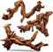 PINVNBY Natural Driftwood for Aquarium Decor, 3 Pieces 7"-13" Assorted Driftwood Branch for Fish Tank