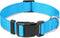 Taglory Reflective Adjustable Dog Collars for Small, Medium, Large Dogs - Aqua Blue, XSmall, Thin Nylon Webbing