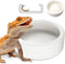 Reptile Food Bowl Dish, Worm Dish, Ceramic Pet Bowls for Lizard, Gecko, Bearded Dragon, Chameleon, Anti-Escape Feeder
