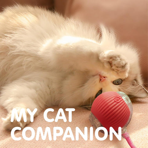 Rocfish Durable Interactive Cat Toys for Indoor Cats, Smart Automatic Cat Chase Ball Toy, Upgraded Speedy Tail Kitten
