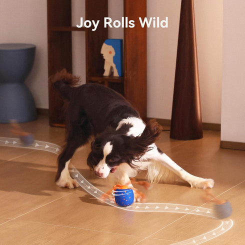 Cheerble Smart Interactive Dog Toy, Wicked Ball Rolly, Automatic Moving, Bouncing, Rotating, E-TPU Material, Active