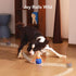 Cheerble Smart Interactive Dog Toy, Wicked Ball Rolly, Automatic Moving, Bouncing, Rotating, E-TPU Material, Active
