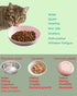 6-Pack Cat Food Bowls with Non-Slip Feet, Whisker Fatigue Dishes for Indoor Cats, 5.5" Flat Plates