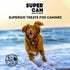 SuperCan Bully Sticks Beef Tendon Chews for Dogs (6'' Backstrap Sticks: 25 Count) | Natural Farm Raised Cattle Treats