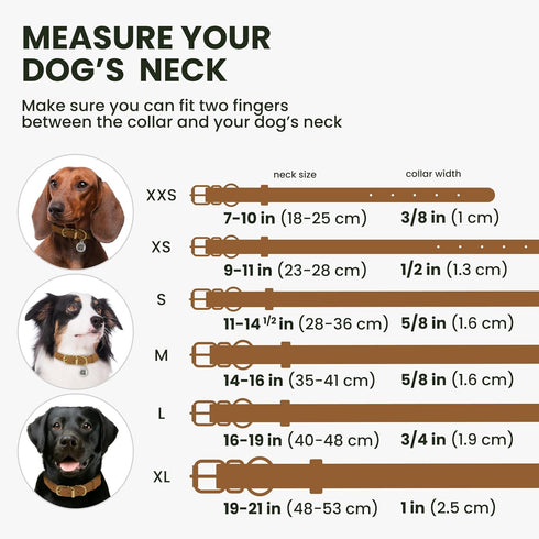 BronzeDog Rolled Leather Dog Collar - Adjustable Soft Round Collars with QR ID Tag for Small Medium Large Dogs