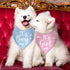 Luptiteuy 2 Pack It's a Boy It's a Girl Baby Announcement Dog Bandana Gender Reveal boy and Girl Pregnancy Announcement