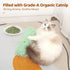 3 Pack, Potaroma Cat Toys Pillows, Soft and Durable Crinkle Sound with Catnip Inside, Interactive Indoor Kitten Kicker