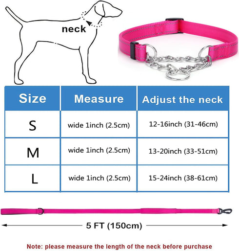 Martingale Dog Collar with Reflective Stainless Steel Chain, Adjustable for Medium Large Dogs (M, Hot Pink Set)