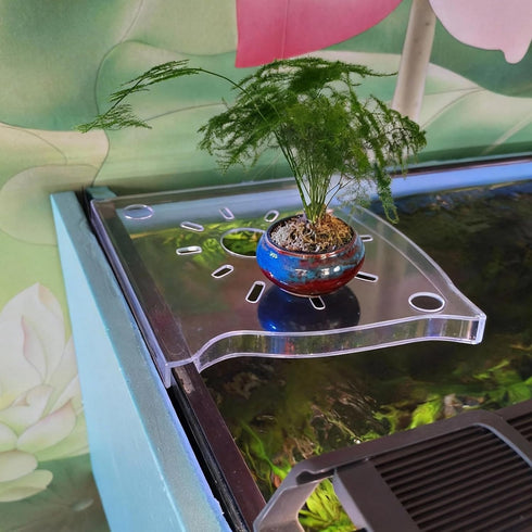 Wzttdm 2Pcs Rimless Clear Aquarium Plant Holder, Aquarium Corner Shelf for Fish Tank, Aquatic Plant Planter & Organizer