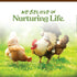 Manna Pro Garden Delight Treats for Chickens, Poultry, Bird, Duck, 2.25 lbs