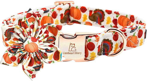 Turkey Dog Collar with Flower - Lionheart Glory Thanksgiving Pet Collar for Small Dogs