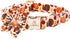 Turkey Dog Collar with Flower - Lionheart Glory Thanksgiving Pet Collar for Small Dogs