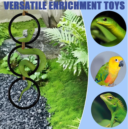 Ajqxh Snake Enrichment Toys Ball,Jungle Gym Ball and Enrichment Rings for Small Ball Python Corn Snakes,Reptiles