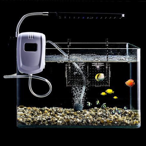 Acrylic Fish Breeding Box for Aquarium - Transparent Hatchery Divider with Suction Cups for Fishes, Shrimp, Guppy (7.2"