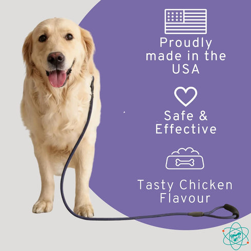 Bladder Strength Chews - Approx 55 Natural Dog UTI Treatment | Kidney Support for Senior Dogs
