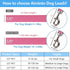 Braided Rope Dog Leash, Traction Walking Training Lead for Medium/Large Dogs (1/2", 2FT, Pink)