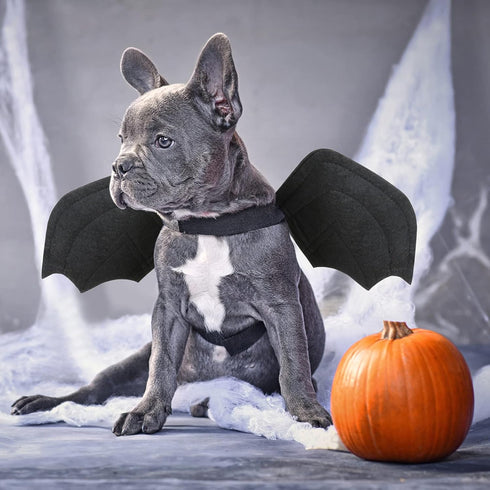 Rypet Dog Halloween Costume, Bat Wings Pet Costumes for Dogs & Cats, Halloween Party Large