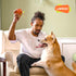 LaRoo Squeaky Dog Ball Toy, Durable Natural Rubber Chew Toy for Small Medium Large Dogs, Floating Training (3.5In