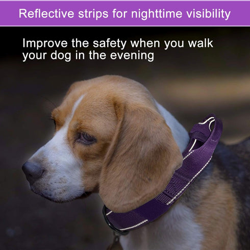 Reflective Dog Collar Heavy Duty Tactical with Control Handle and Metal Buckle for Dog Training (Large, Purple)