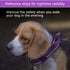 Reflective Dog Collar Heavy Duty Tactical with Control Handle and Metal Buckle for Dog Training (Large, Purple)