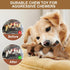 Tough Durable Fun Dinosaur Shaped Dog Chew Toys for Aggressive Chewers, Teething Bones Toys